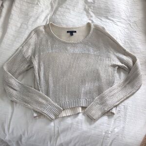 American Eagle Sweater